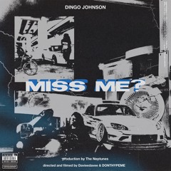 MISS ME? (PROD. THE NEPTUNES)