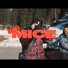 Aitch mice