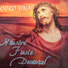 Stream Coro Sinai music | Listen to songs, albums, playlists for free on  SoundCloud