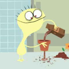 noseqdecirte (dyrem)