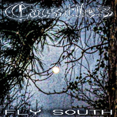 Castle3-FlySouth