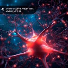 Anthony Spallino & Aurelien Stireg - Memories Never Die (Preview)