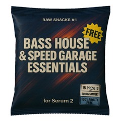 RAW SNACKS #1 - FREE Speed Garage & Bass House Serum 2 Presets & Samples