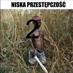 Negerzy 2