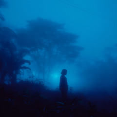a forest that never wakes (Slowed)