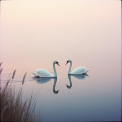 A2 - S1 The Departure (Aria da Concerto) (Neo-Opera • Orchestral • Baritone & Chorus)