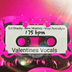 DJ Chucky - New Monkey Vocals (Vinyl Nostalgia 175bpm)