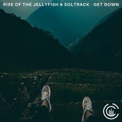 Rise Of The JellyFish & SolTrack - Get Down