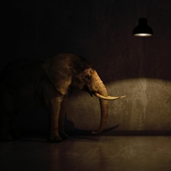 How I Feel