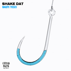 Bauti Tesei - Shake Dat
