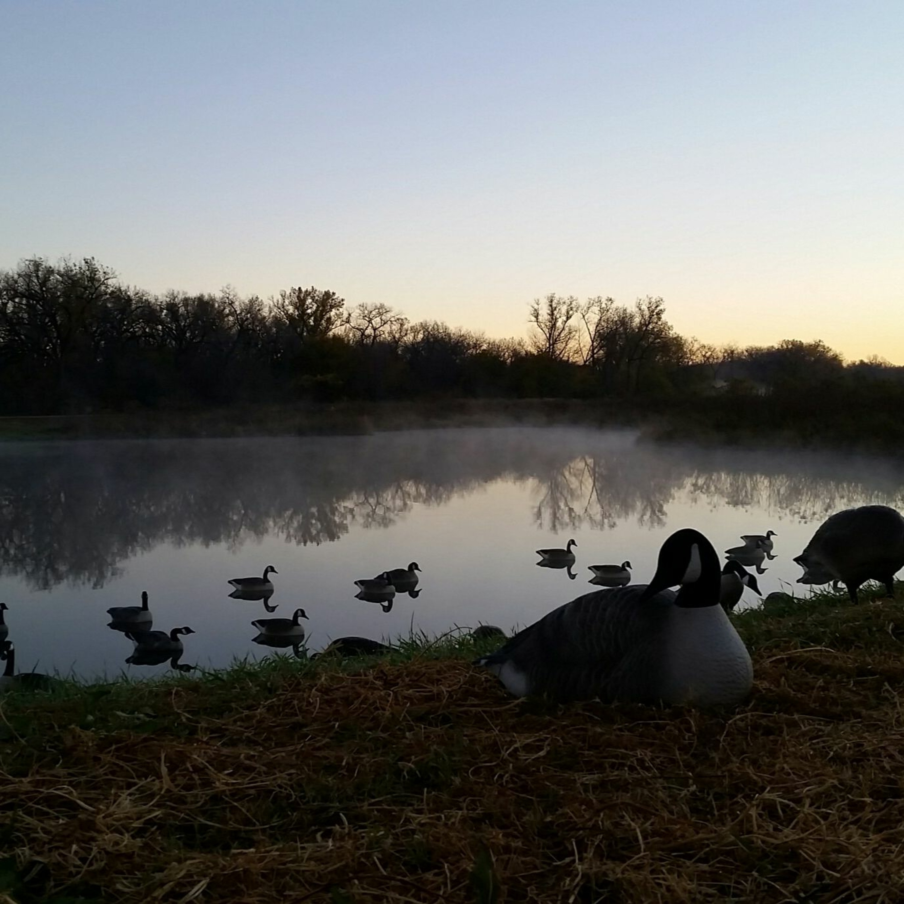 Hunt Tank Inventions