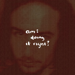 AM I DOING IT RIGHT? (an intro)