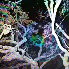 no somos así // feel + jere fella