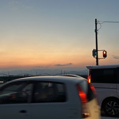 Last Lonely Night