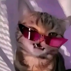 Twitch w/ @45sage #purpgang