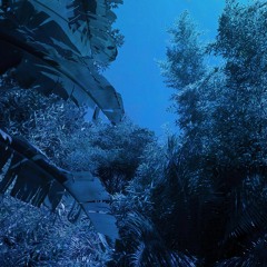 Someday Isle | Midnight Blue