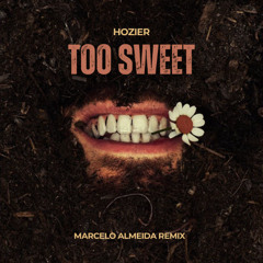Hozier - Too Sweet (Marcelo Almeida Remix)