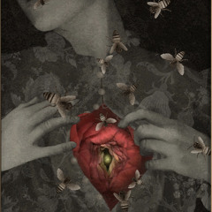 Queen of the Garden Flies