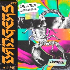 GRiZ & Subtronics - Griztronics (XaeboR Bootleg)