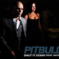 Pitbull - Shut it Down ft. Akon (Sickzone Extended Remix)