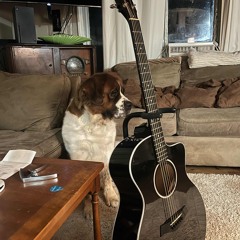 Instrumental