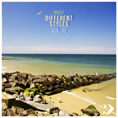 Different Styles Vol.12