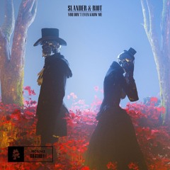 You Don't Even Know Me (VIP) / Replay SLANDER Intro [MIXED]