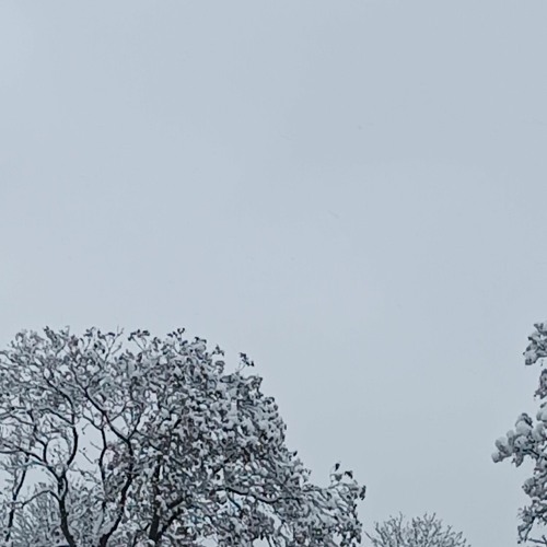 Tagtraum sped up #TRAUMZIRKEL