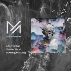 PREMIERE: Julien Vertigo - Parallel World [Androgyne Audio]