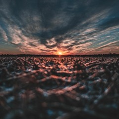 Mary Gu - Пьяный Романтик (MLN FLCN remix)