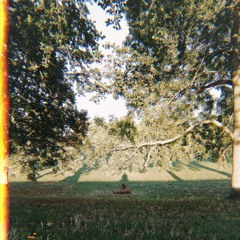 better begin (2012 summer lucki rmx) (out now on all plats!!)