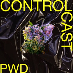 PWD Podcasts