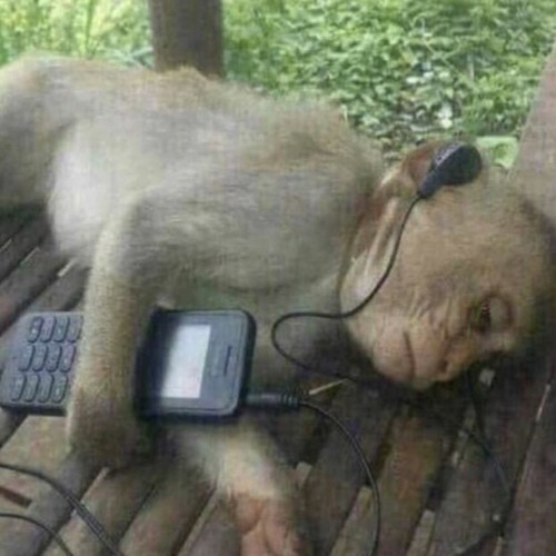 funny monkey minimix