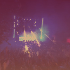 The Crowd