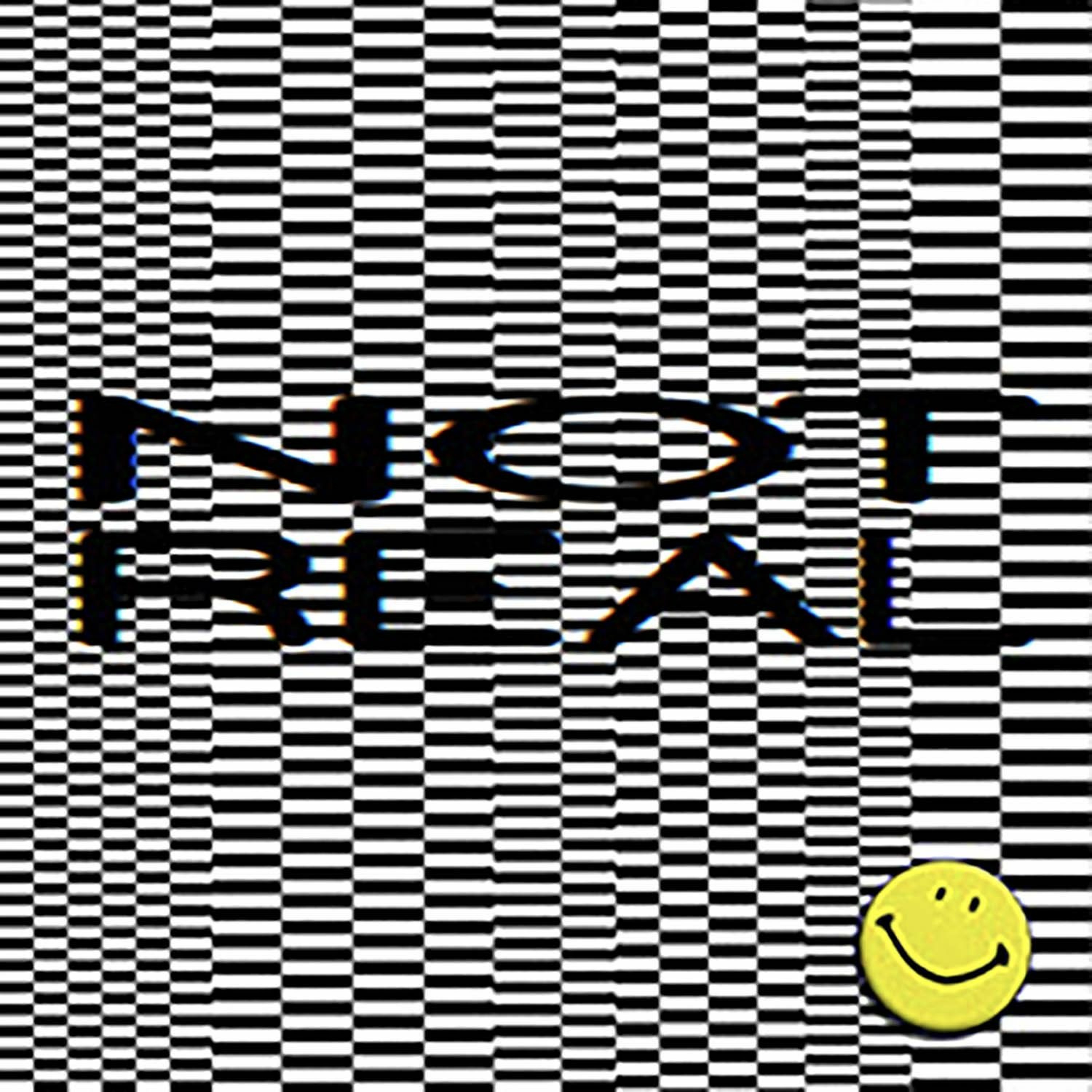 Not Real FM