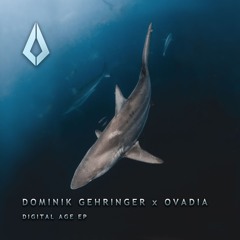 Dominik Gehringer - Dance With Me