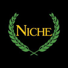NICHE - DJ UNDECIDED - SUBZERO FT NICOLE V