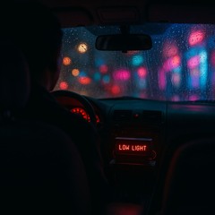 Low Light Fare 002