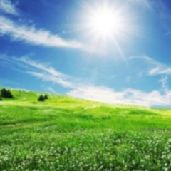 Spring Mix [March 2013]