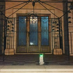 نداء استغاثة