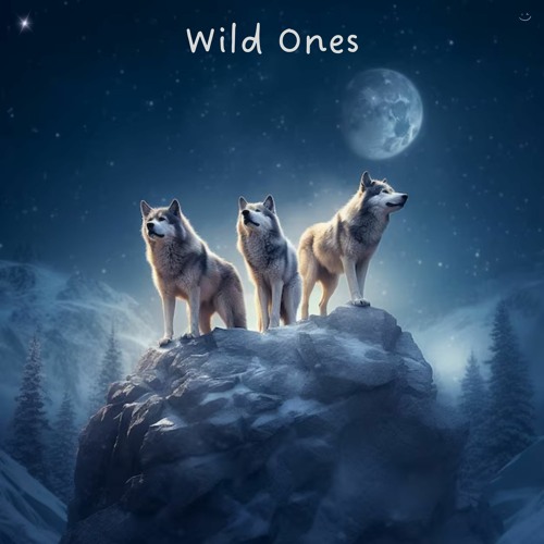 Wild Ones (Radio Edit)