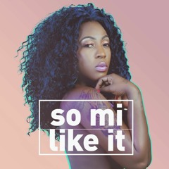 Spice - So Mi Like It - Scave Bootleg - Master