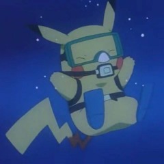 TEAM ROCKET-SHINIEST RINDS