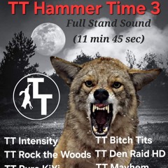 TT Hammer Time 3