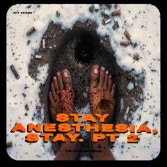 she_skin - Stay Anesthesia, Stay. Pt 2 (mt1 stream)