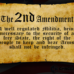 2GramCam x GwapTheGoblin - 2nd Amendment