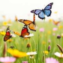 Breaking Free