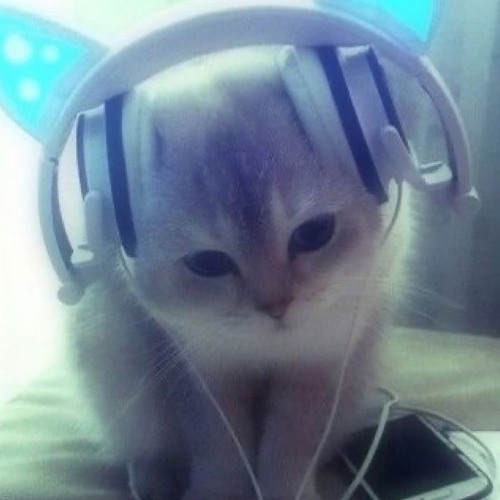 ^.^