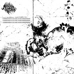 AHILATINATILLS - SHAVANAM MADHYE GACCHHAN, PUDUMA NIŚŚABDATĀVAYAK