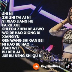 DJ Shi Ni Breakbeat Mandarin Manyao Mixtape